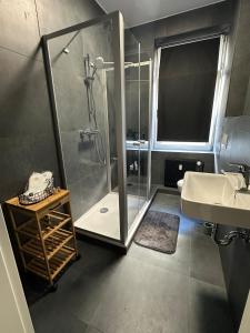 a bathroom with a shower and a sink at Modern Living Leipzig - Wohnung in Lindenau in Niederdorla