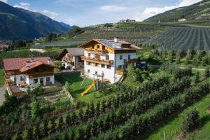 an aerial view of a house in a vineyard at Gassbauerhof Ferienwohnung Ass in Schenna
