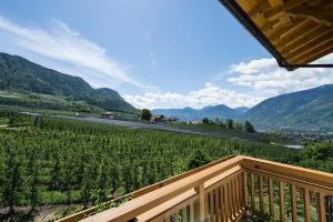 a balcony with a view of a vineyard and mountains at Gassbauerhof Ferienwohnung Ass in Schenna