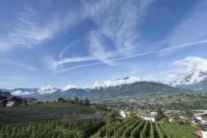 a view of a vineyard with a mountain in the background at Gassbauerhof Ferienwohnung Ass in Schenna +2 photos
