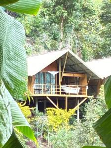 een huis midden in een bos bij มาค่ะ ฟาร์มสเตย์ ห้วยเขย่ง สวนคุณตา สวนทุเรียนทองผาภูมิ in Ban Diso