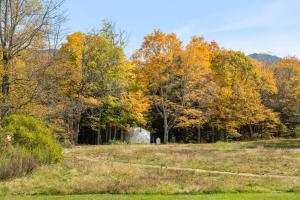 a field with autumn trees in the background at Magic Bus on river w/hot tub at Smuggler's Notch in Morses Mill