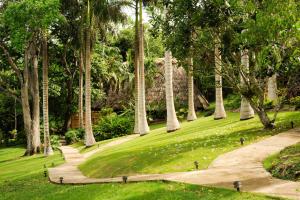 a park with palm trees and a path at The Lodge at ChaaCreek in San Ignacio