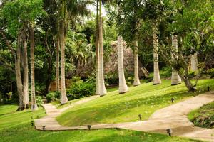 un parco con palme e un sentiero di The Lodge at ChaaCreek a San Ignacio