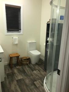 een badkamer met toilet en douche bij Hollywood's Folly in Lawrence