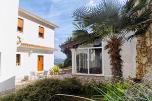 een palmboom voor een wit huis bij Apartments with parking space Moscenice, Opatija - 7689 in Mošćenička Draga