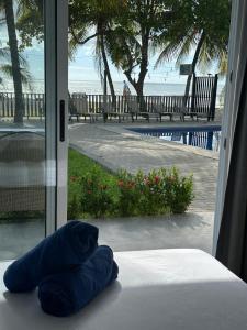 een blauw kussen op een bed voor een raam bij BigWave Costa Rica in Playa Hermosa