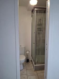 a bathroom with a toilet and a glass shower at Hébergement en rez-de jardin clos - Proche de l'aéroport 4km - Parking gratuit - Commerce et restauration à proximité - Wifi in Le Lamentin +12 photos
