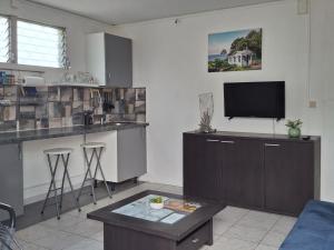 a living room with a kitchen with a tv on a counter at Hébergement en rez-de jardin clos - Proche de l'aéroport 4km - Parking gratuit - Commerce et restauration à proximité - Wifi in Le Lamentin