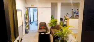 a hallway with chairs and plants in a room at Joyful Paradise Beach Resort in Nasugbu