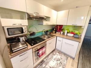 Kuchyň nebo kuchyňský kout v ubytování Big 1 Bedroom Apartment near Airport & City Center