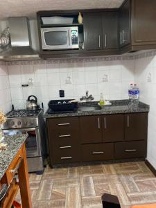 アグアス・ドゥルセスにあるSin un Vintenのシンクと電子レンジ付きのキッチン