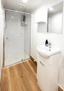 a bathroom with a shower and a sink at Charlestown Central 7 Bedrooms Front House and Back Unit in Charlestown +14 photos