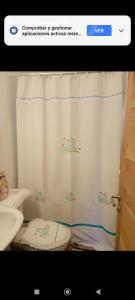 a bathroom with a shower curtain and a toilet at Casa chiloe castro in Castro +22 photos
