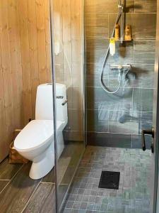 un bagno con wc e doccia di Nature-Close Cabin By The Water a Eggedal Altre 30 foto
