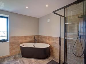 Koupelna v ubytování Gîte de Charme avec Piscine Intérieure Chauffée, Idéal Familles/Amis - FR-1-496-346 + 28 fotografií