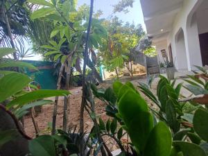 Κήπος έξω από το villa Calm Haven