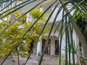 Κήπος έξω από το villa Calm Haven