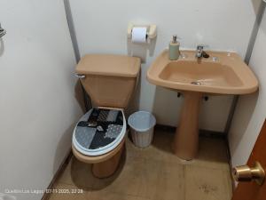Un baño pequeño con inodoro y lavabo. en Hospedaje Mirador del Puerto, en Quellón