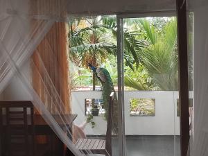 Κήπος έξω από το One-plus Holiday Homes Mirissa