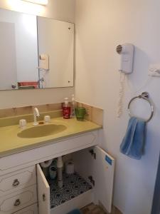 金斯科特Graydon Lodge on Seaside-Summer Sale is now on in Esplanade and Buller St Kingscote的浴室里有洗手池和镜子