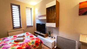 Μια τηλεόραση ή/και κέντρο ψυχαγωγίας στο Tulip Studio Deluxe, Grand Resort Pamporovo