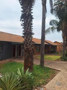 a palm tree in front of a house at 310 Bonnyvale in Kempton Park
