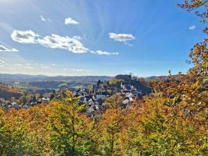 eine Stadt auf einem Hügel mit Bäumen im Vordergrund in der Unterkunft Ferienwohnung Luise unterhalb der Burg Lindenfels in Lindenfels