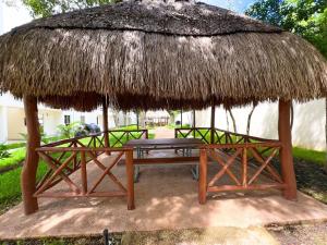 Un jardín fuera de New luxury apartament in Playa del Carmen