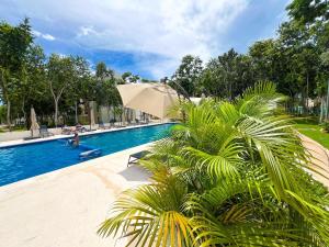 La alberca dentro o cerca de New luxury apartament in Playa del Carmen