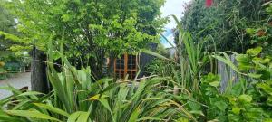 a garden with lots of plants and a fence at Polly's Retreat in Coffin Bay