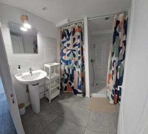 Un baño con lavabo y ducha en Le grand logis de Meung Sur Loire, en Meung-sur-Loire