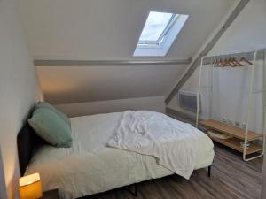 Un dormitorio con una cama y una claraboya. en Le grand logis de Meung Sur Loire, en Meung-sur-Loire