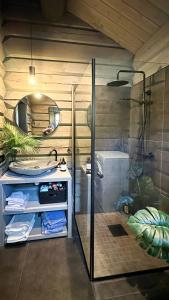 a bathroom with a shower and a sink and a mirror at Cozy Log Cabin With A View Over Hedmarken in Løten +24 photos