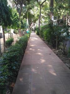 a walking path in a park with trees at Cassava Stay - Near Rajendra Place & BLK Hospital in New Delhi