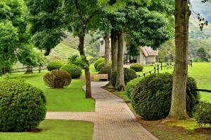 Zahrada ubytování Champagne Castle Hotel