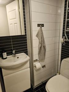 a small bathroom with a toilet and a sink at Liten lägenhet i Smedby, Norrköping in Norrköping