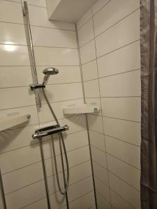 a shower with a shower head in a bathroom at Liten lägenhet i Smedby, Norrköping in Norrköping