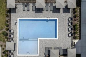 Bazén v ubytování Homewood Suites By Hilton Jackson nebo v jeho okolí