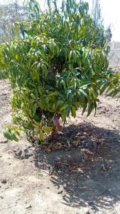 Galeriebild der Unterkunft Serene Haven of Rest in Iringa