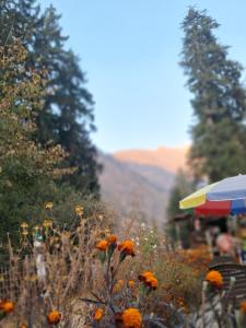 Příroda nedaleko ubytování v soukromí