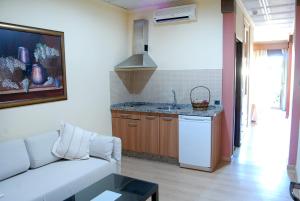 Kuchyň nebo kuchyňský kout v ubytování Hotel Pinomar