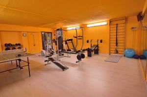 Fitness centrum a/nebo fitness zařízení v ubytování Podere Benintendi