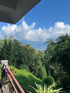 a view from a balcony of a hill with trees at Marmen Homestay in Kalimpong
