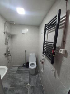 a bathroom with a toilet and a sink at Sesili's apartment in Stepantsminda