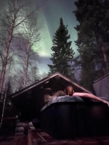 a painting of a woman laying in a bath tub at Lapland Dream Destinations in Rovaniemi +40 photos