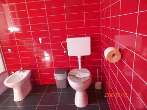 uma casa de banho com azulejos vermelhos, um WC e um bidé em Apartment Lili Vir em Vir
