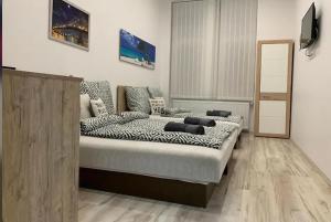 Μια τηλεόραση ή/και κέντρο ψυχαγωγίας στο Városház-Téri Apartmanok