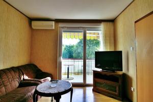 Televízia a/alebo spoločenská miestnosť v ubytovaní Apartment Gare