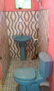 a bathroom with a blue toilet and a sink at Vilage Home in Polonnaruwa